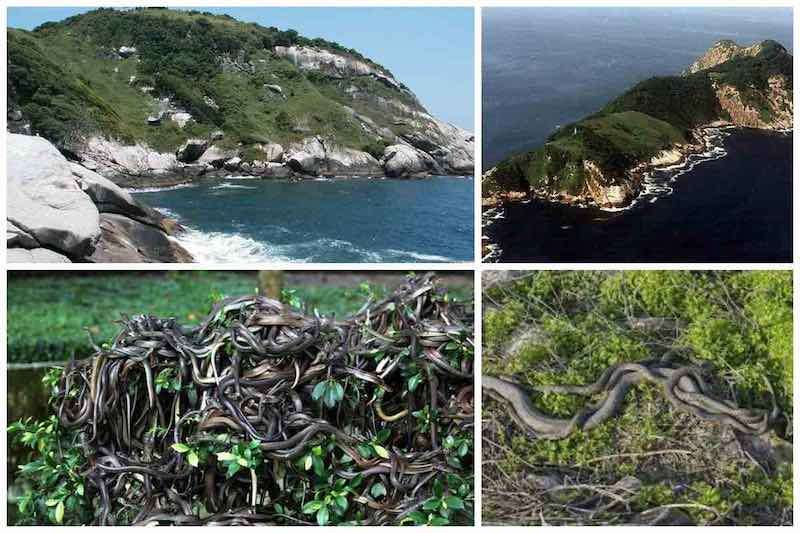 Queimada Grandi cea mai periculoasa insula din lume - Curiozitati.md