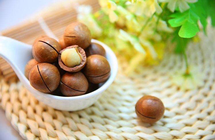 Macadamia: cele mai scumpe nuci din lume - Curiozitati.md
